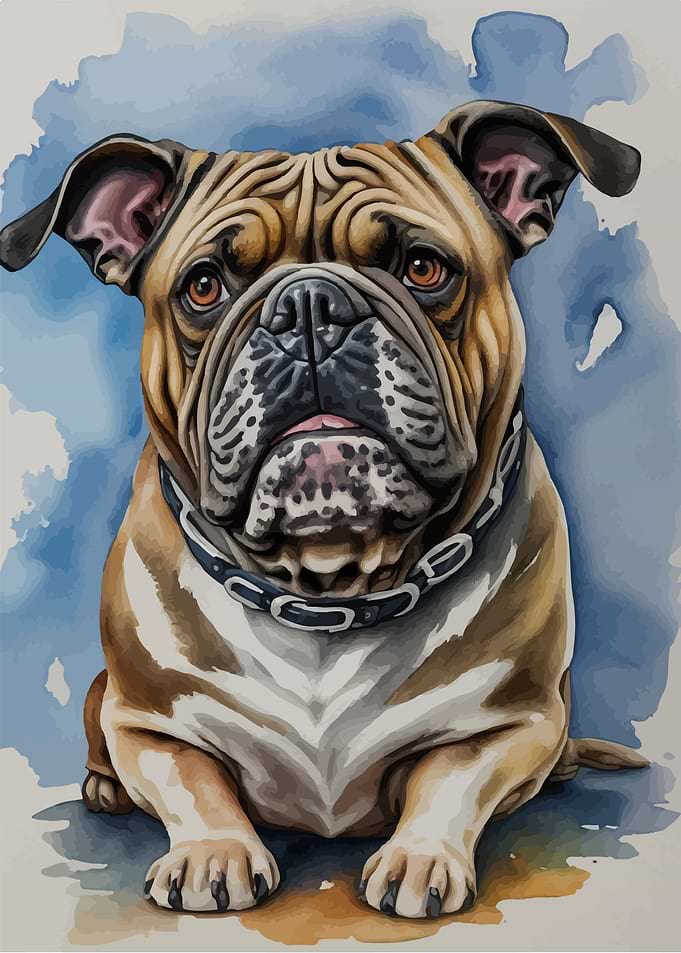 Happy french bulldog