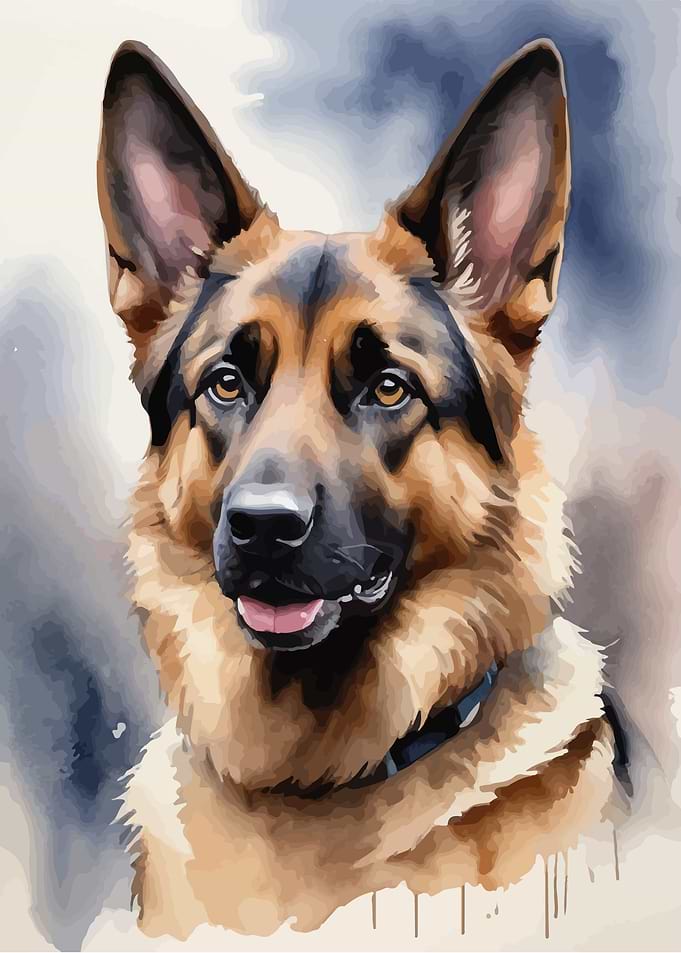 German shepherd watercolor