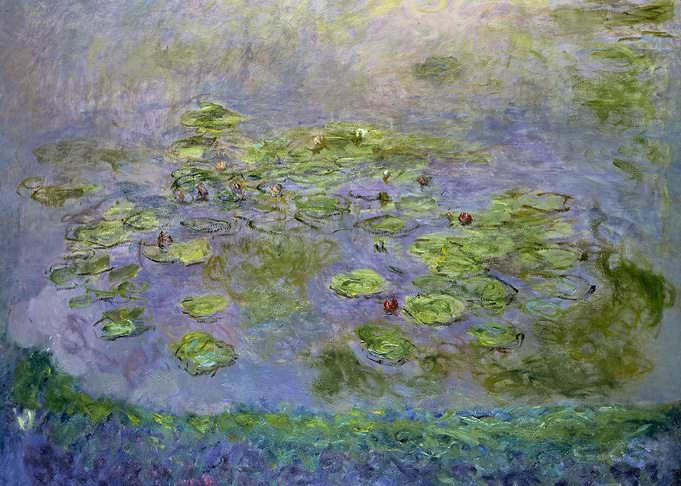 Nympheas Waterlilies