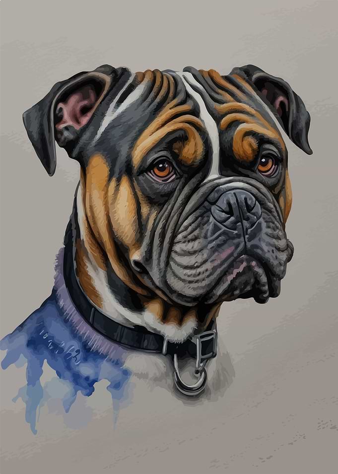 French bulldog watercolor