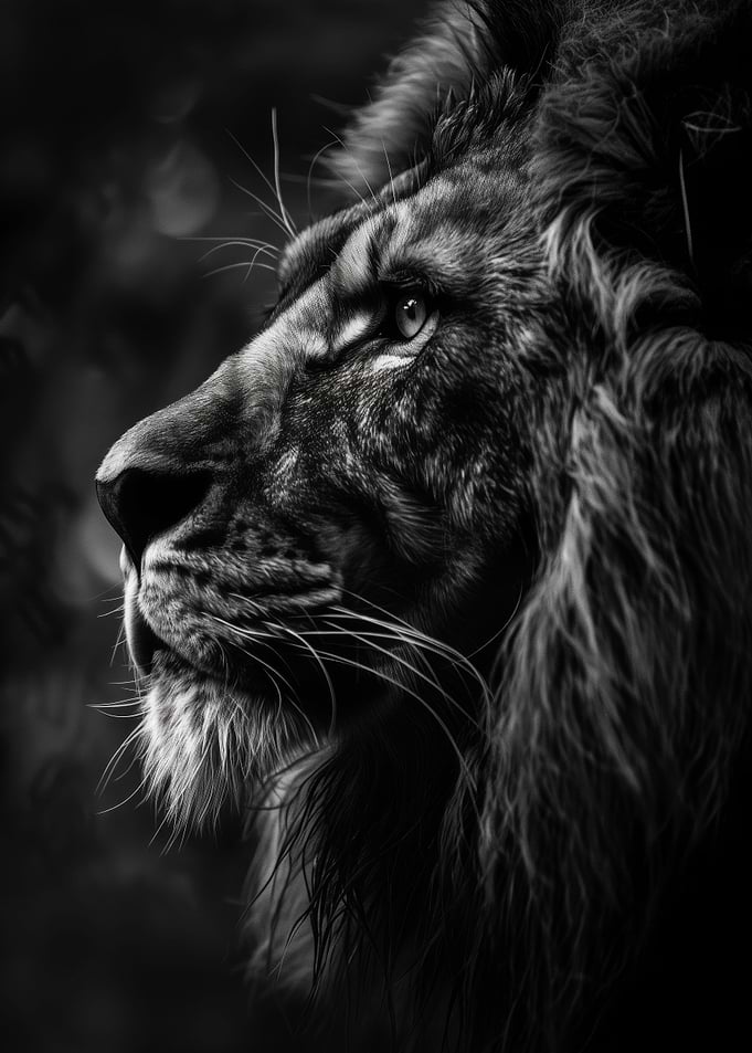 Majesty in the Dark