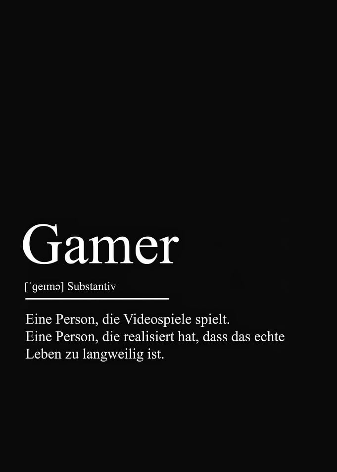 Gamer Gaming DEFINITION