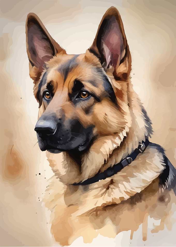 German shepherd watercolor