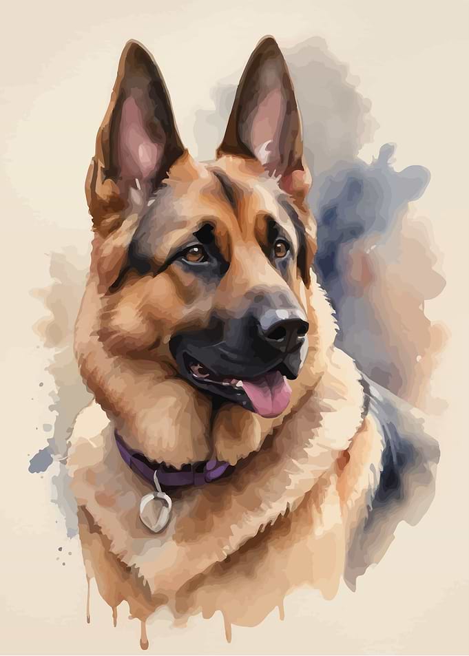 Shepherd watercolor art