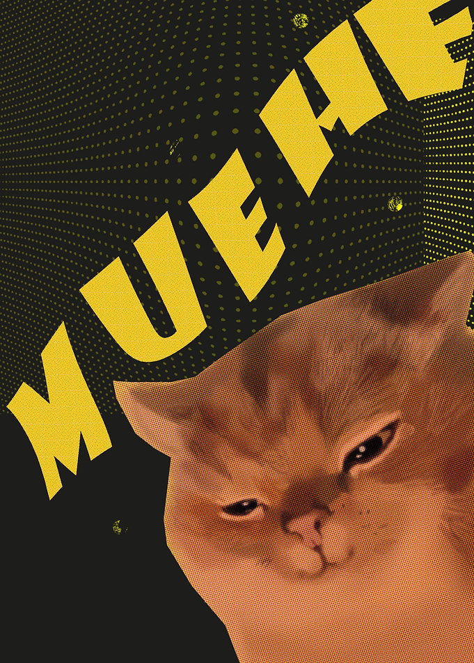 funny intimidating cat