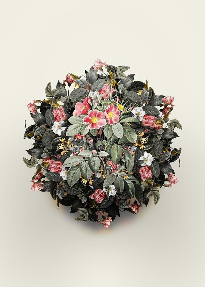 Pasture Rose Flower Wreath