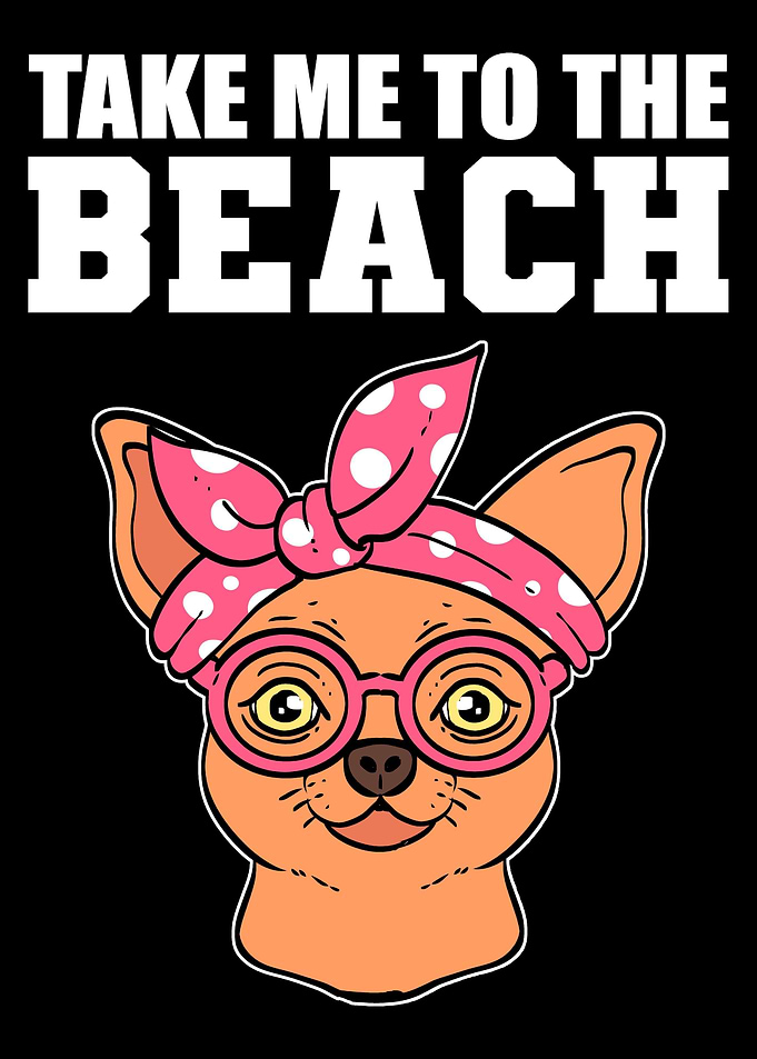 To the Beach Surfer Or Swi