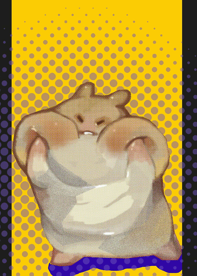 cute fat hamster