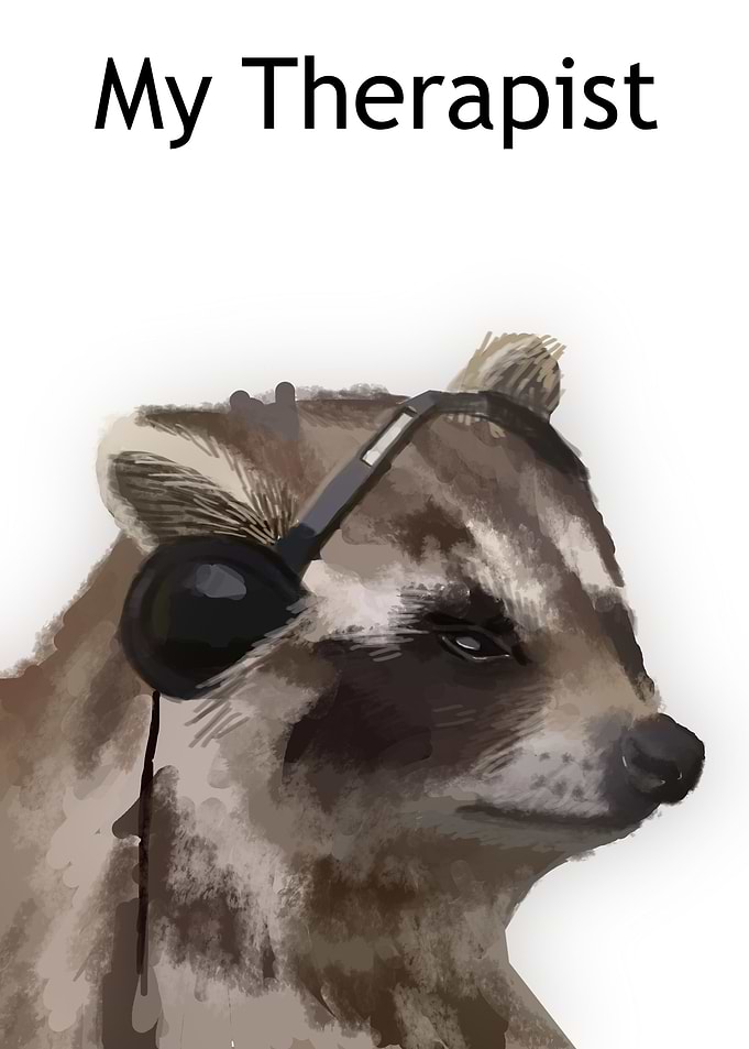 raccoon therapist