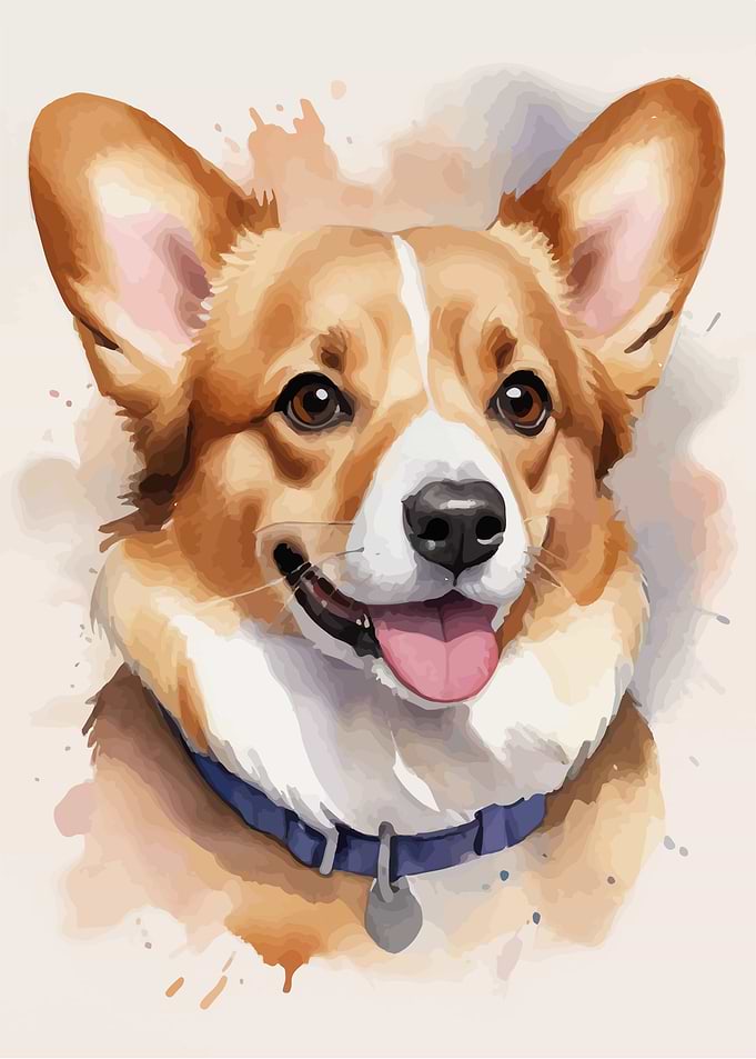 Welsh corgi watercolor