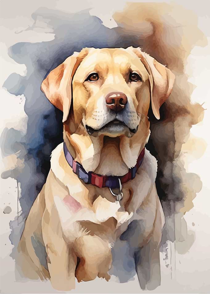 Labrador dog watercolor