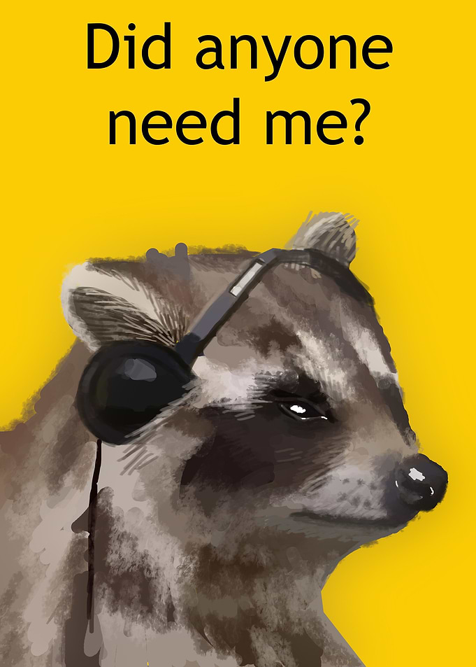 sad racoon meme