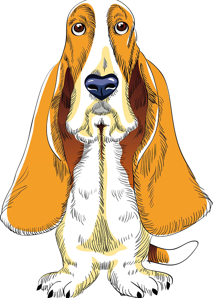 confused dog