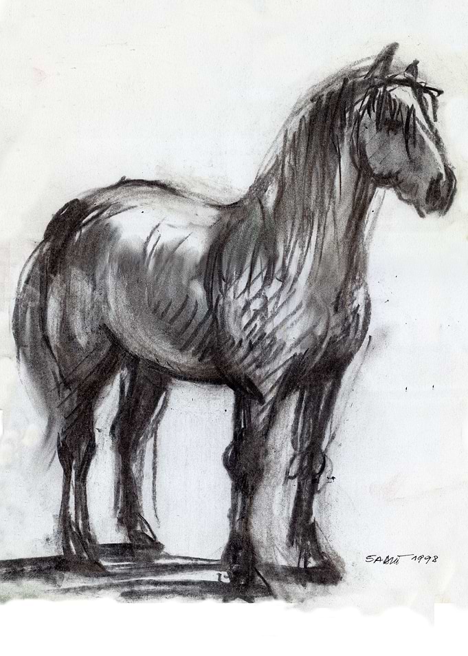 N938 Cheval blanc