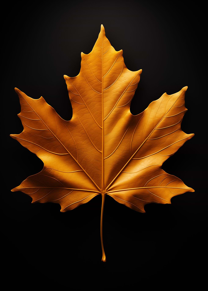 Gold Maple Leafs