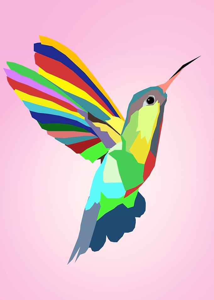 Hummingbird Vector