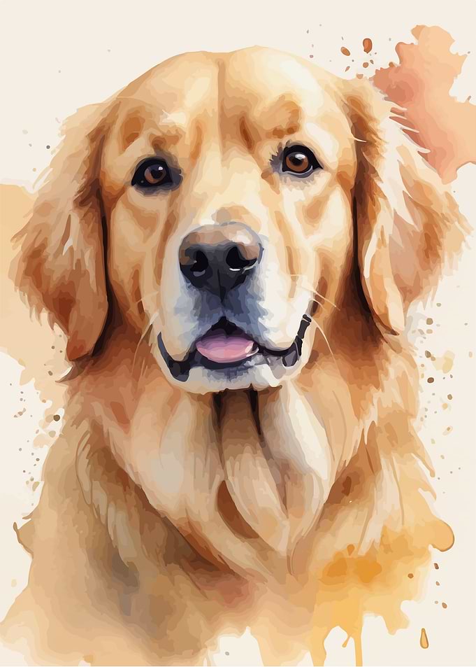 Cute golden retriever