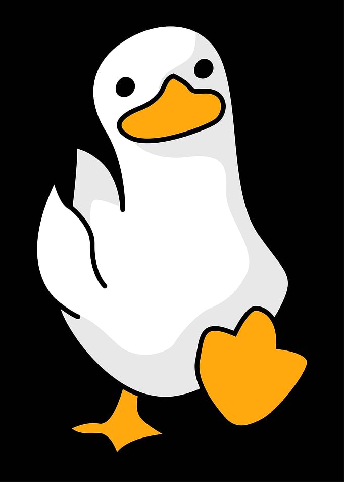 Walking Duck Funny Meme