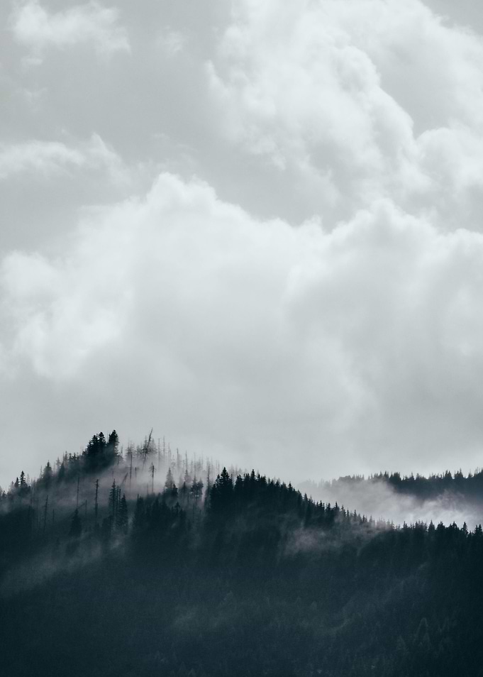 Hill in fog