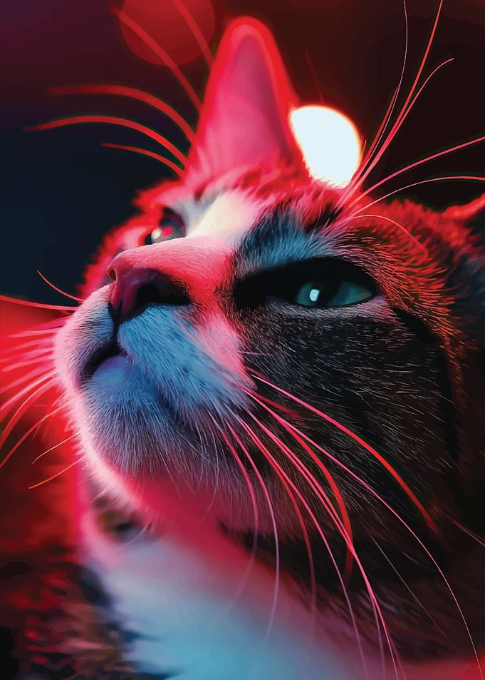 AESTHETIC CAT VECTOR ART