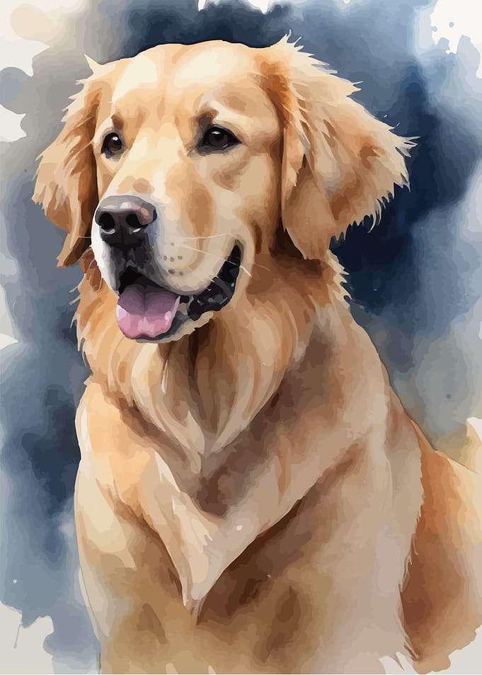 Cute golden retriever