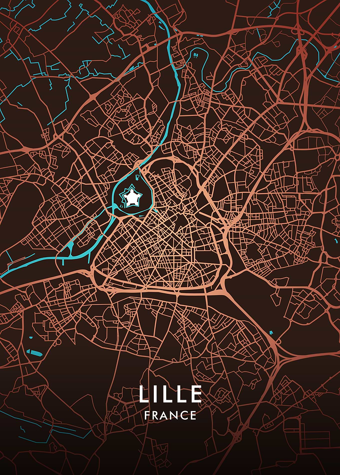 Lille City Map