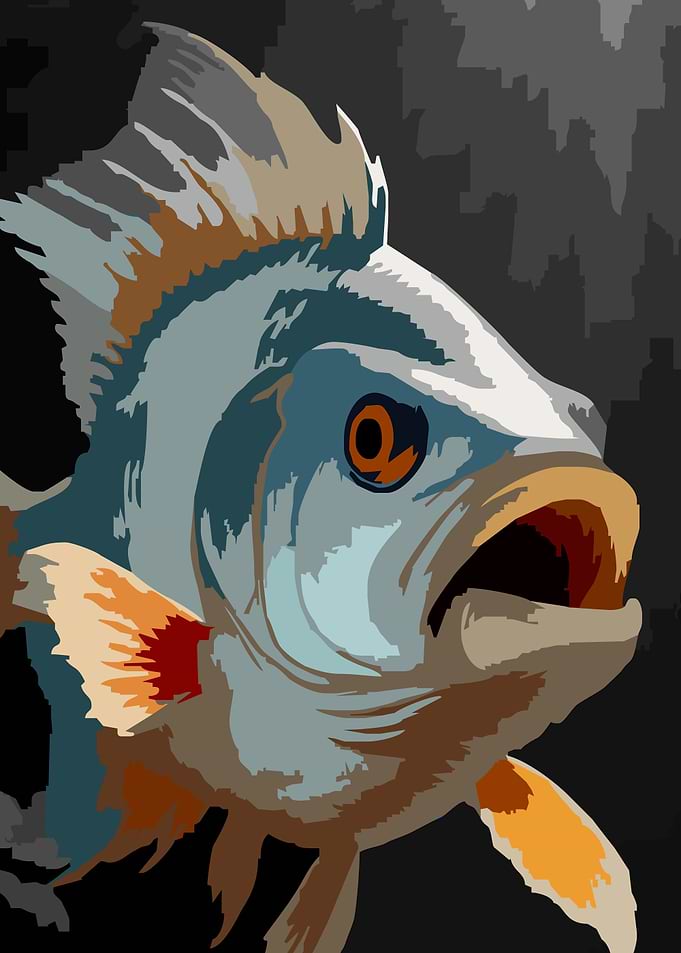 Fish 4