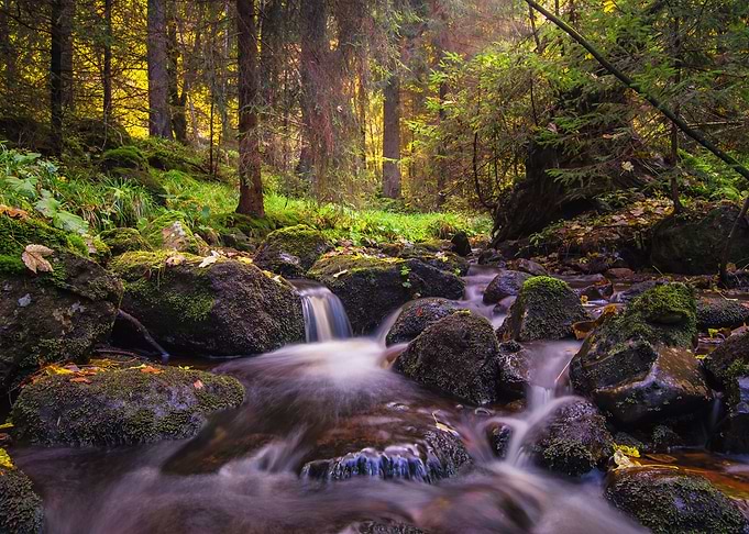 Autumn Waterfall