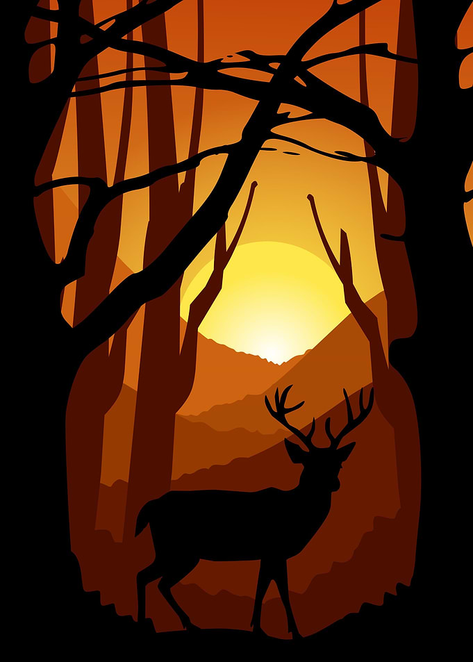 Deer in nature