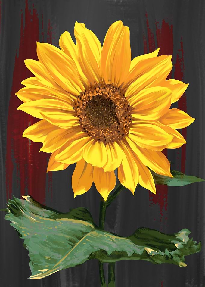 sunflower 14