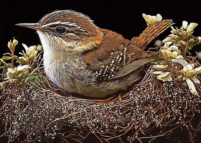 Vintage Birds Nest