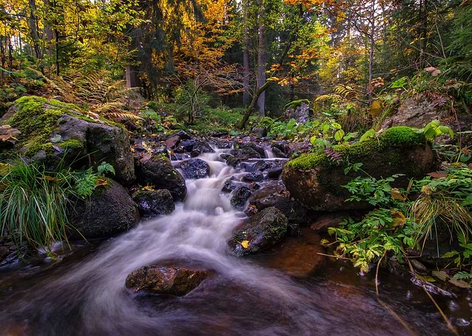 Autumn Water