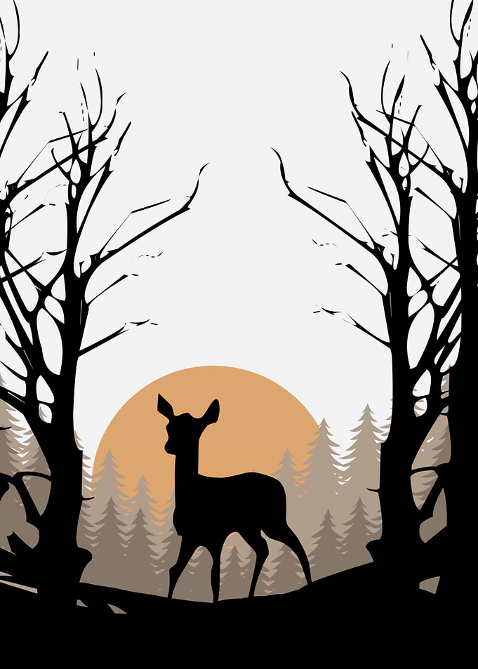 silhouette of a fawn