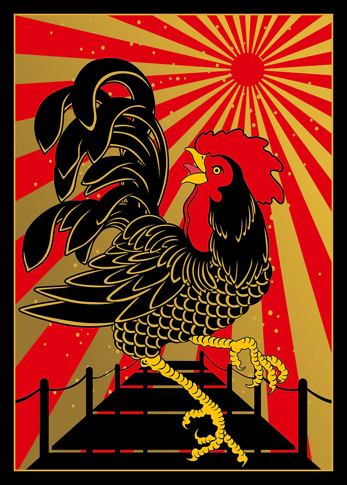 Rooster