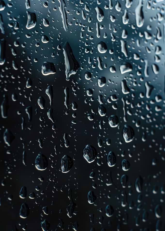 Rainy Window