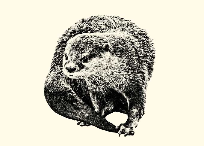 Otter