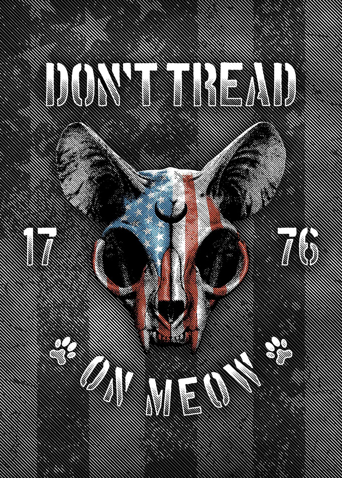 American Skull Cat