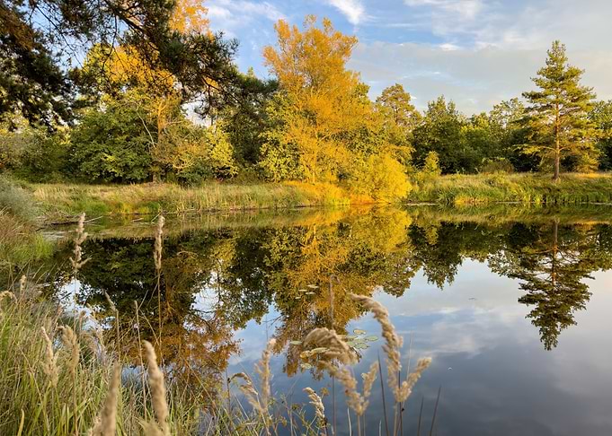 Autumn Lake Mirror