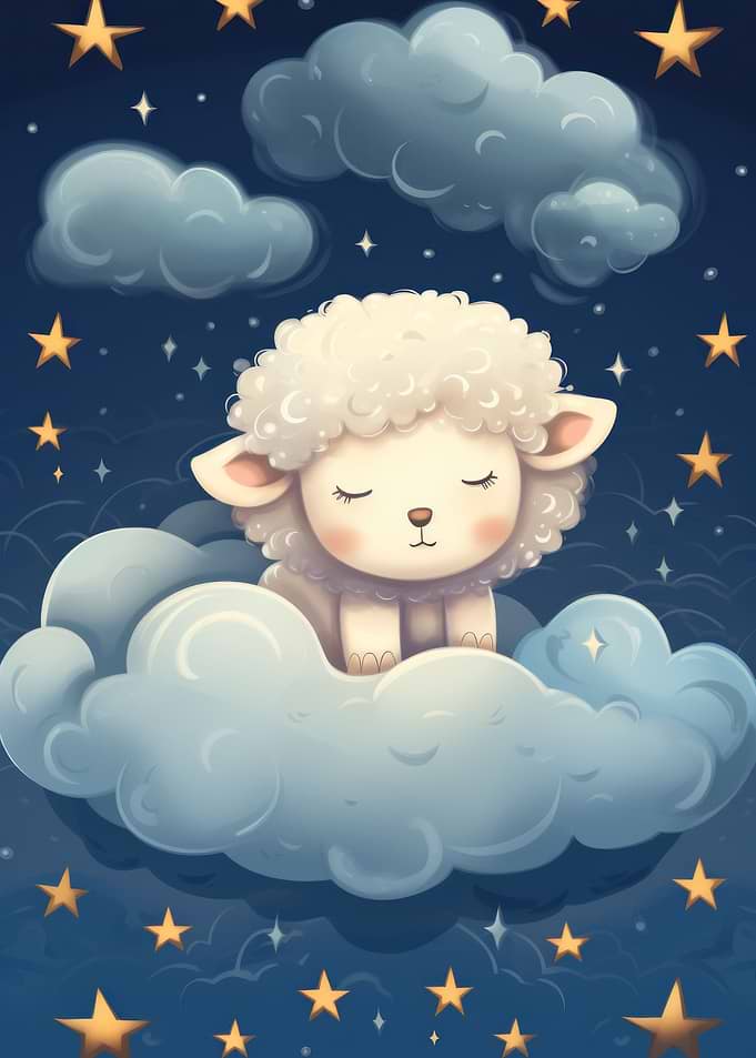 Baby sheep