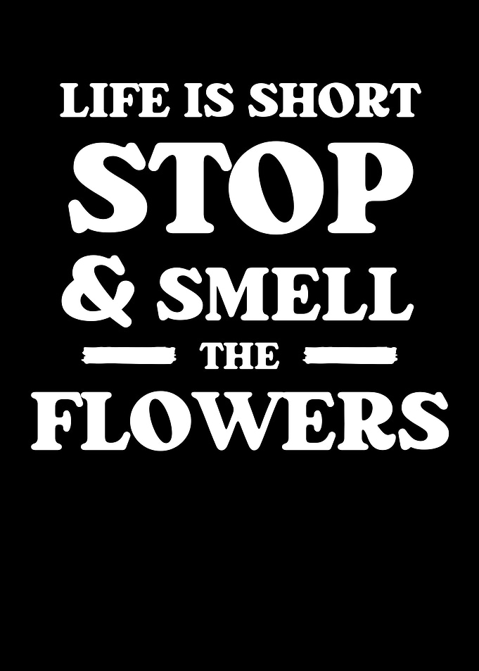 Life Is Short Stop