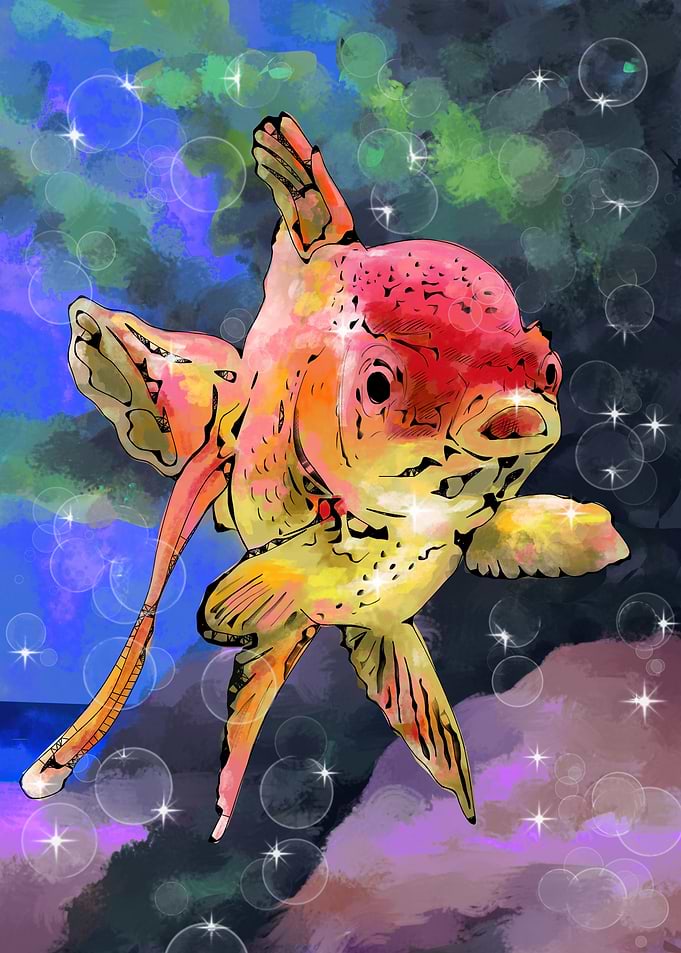 aquarium fish 1