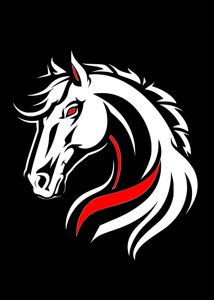 A wild horse