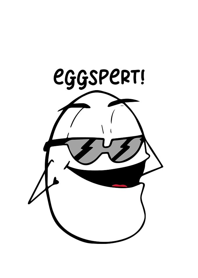 Funny Picture Funny Saying