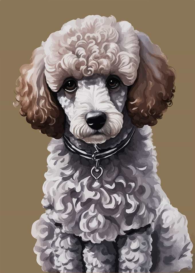 Poodle dog watercolor
