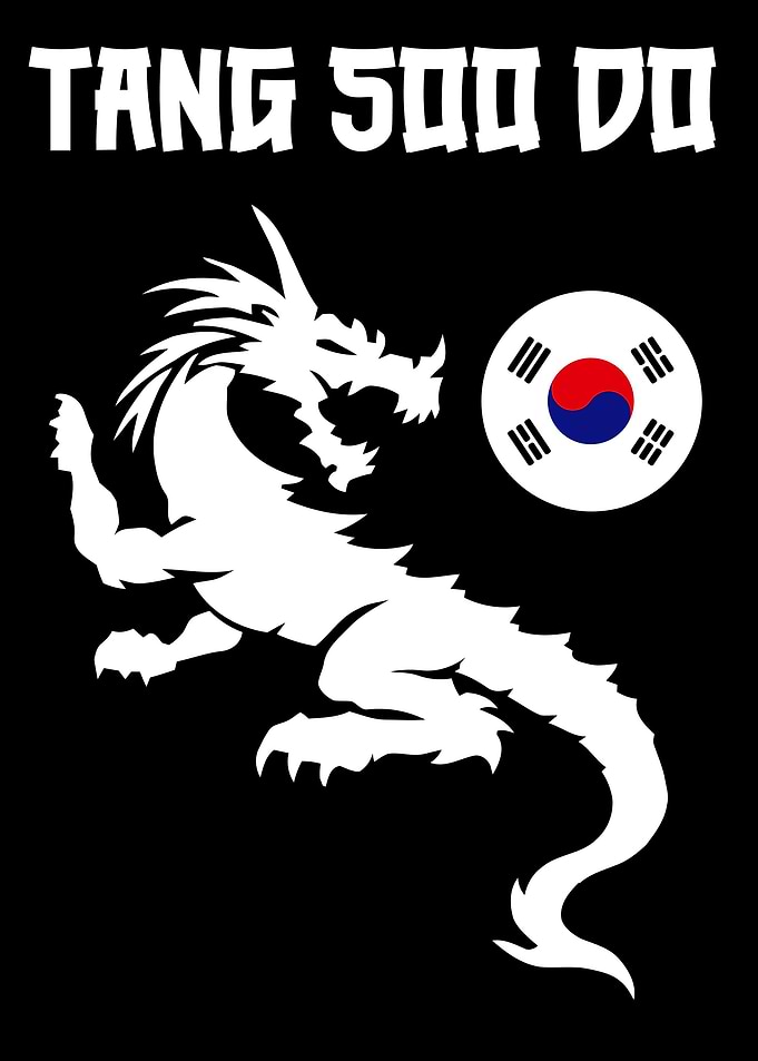Tang Soo Do Martial Arts