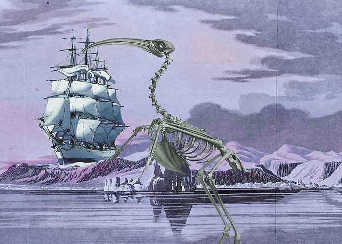 Skeleton bird in landscape