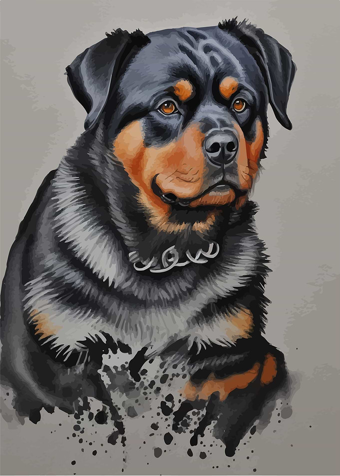 Rottweiler watercolor art