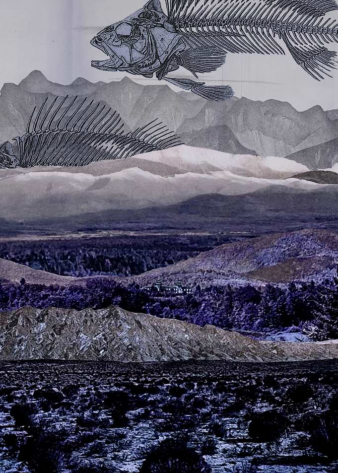 Dead fishes landscape 1