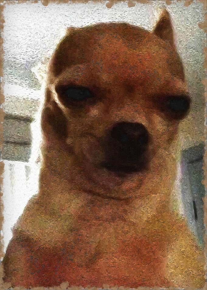 sneaky dog meme