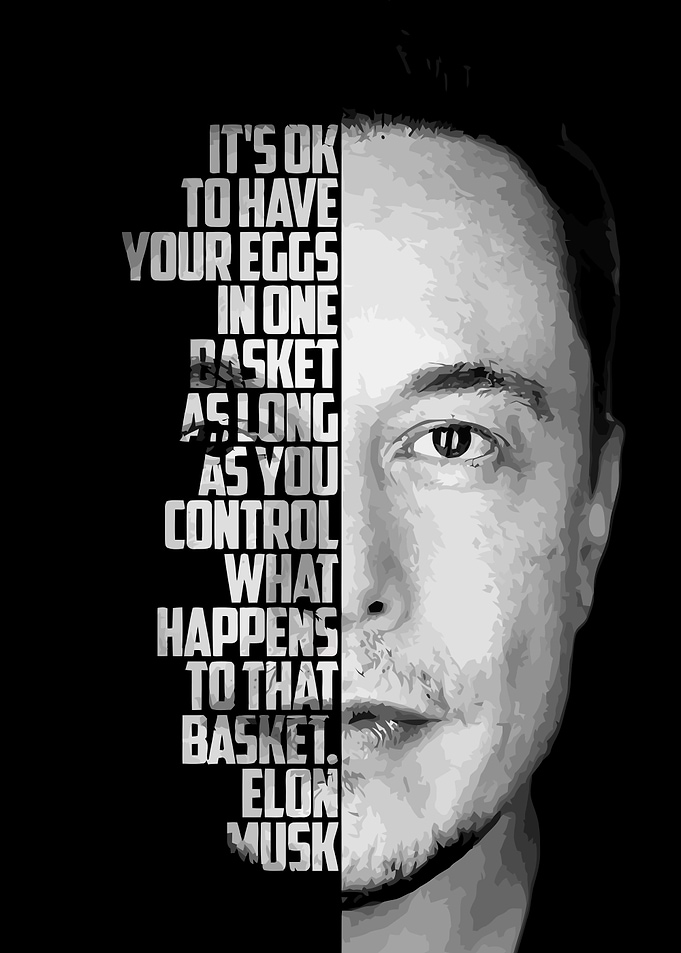 Elon Musk Quote